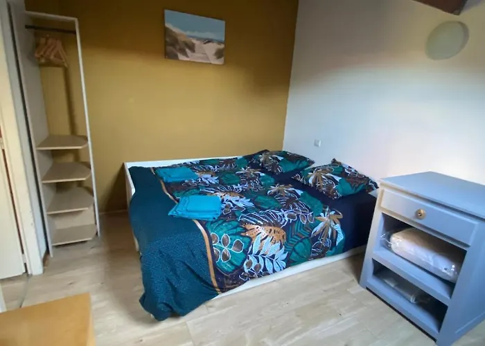 Vakantiehuis Maison Cosy - 4-5 Personnes Wi-fi - Proche Contis Saint-Julien-en-Born